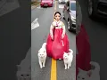 Download Lagu ❤️️🌷😍🐈 #cute