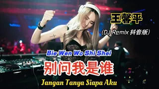 Download 王馨平 - 别问我是谁 (抖音DJ版) Bie Wen Wo Shi Shei【Jangan Tanya Siapa Aku/ Don't Ask Who I Am】- Terjemahan MP3