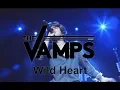 Download Lagu The Vamps - Wild Heart (Live In Birmingham)