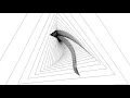openframeworks Roller coaster
