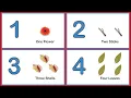 Download Lagu Learn Numbers and Counting 1 to 10 Flashcards | Number Names for Kids