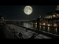  الشامي - بتهون بطىء Al Shami - Bethoon slow
