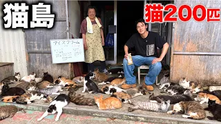 【限界離島】人口わずか42人、島民より猫が多く暮らす田代島の現在とは…