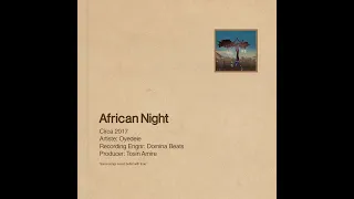 oyedele african night official visualiser 