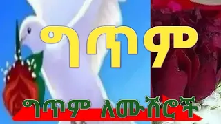 ትንሽ ግጥም ይድረስ ለሙሽሮች 