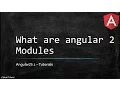 Part 4 What is a module in angular 2 Angular 2 tutorials