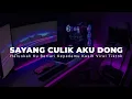 Download Lagu DJ AYO SAYANG CULIK AKU DONG VIRAL TIKTOK ( DJ HARUSKAH KU BERLARI KEPADAMU KASIH )