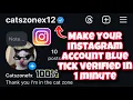 How to make your Instagram account blue tick verified in 1 minute