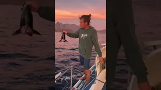 A SHARK Stole Our Catch! #thetaxman