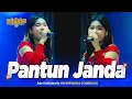 Download Lagu PANTUN JANDA - Adel Salsabella - OM NIRWANA COMEBACK Live Kemlagi mojokerto