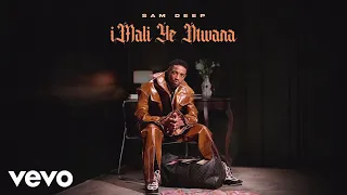 sam deep malemon dr thulz bade lam visualizer 