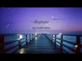 Enchanted X Sayo OFFICIAL LYRIC VIDEO - Taylor Swift & Silent Sanctuary