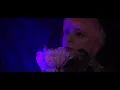 Disembodied Tyrant/Synestia - Death Empress (Vocal Cover)