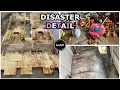 Deep Cleaning The Nastiest Car In The World Insanely Satisfying Car Detailing Transformations