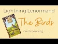 The Birds Lenormand Card Meaning - Lightning Lenormand