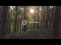 Serene 4K Virtual Walking Trail to Stunning Lake in Interior BC Canada