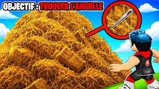 Chercher une AIGUILLE dans une BOTTE DE FOIN..