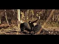 Soorarai Pottru - Veyyon Silli Dance Video | Suriya, Aparna | G.V. Prakash Kumar | Sudha Kongara