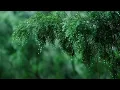 Calming Piano Music with Rain & Thunder Sounds for Sleep or Relaxing • "Rainy Day"
