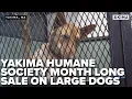 Every Pet Yakima Humane Society month long sale on large dogs