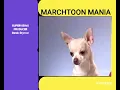 Nickelodeon Split Screen Credits March 9 2000