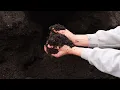 I Created the World's Best Potting Soil (And You Can Too)