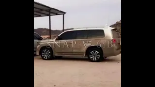 حشان ال مطلق نادررر    دندنها
