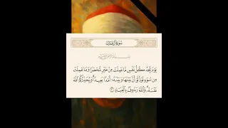 الشيخ السيد سعيد يوم تجد كل نفس ما عملت من خير محضرا وماعملت 