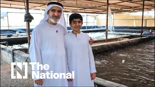 Emirati entrepreneur uses fish farm to grow food in the UAE s desert