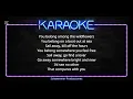 Karaoke - Wildflowers (The Wailin Jennys)