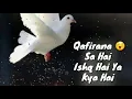 Download Lagu Qafirana💝 | full song with lyrics | Kedarnath | Shushant Singh | Sara | Arjit Singh | Nikita Gandhi