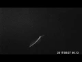 Download Lagu Weird Flashes caught on Trail Cam
