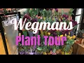 Wegmans Plant Tour