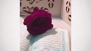 سورة الكهف حالات واتس اب 