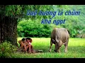 Download Lagu [ Nhạc không lời ] Quê hương là chùm khế ngọt