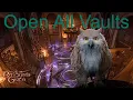 Baldur s Gate 3 What s inside Bank Vaults All loot
