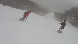                 دندنها