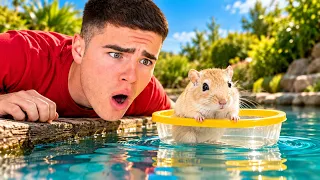 MON ANIMAL TESTE DES ACTIVITÉS EXTRÊMES ! (Vanille)