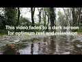 BE DISCIPLINED & DETERMINED | 8 Hour Subliminal Session with Relaxing Rain Sounds
