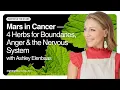 Mars in Cancer 4 Herbs for Boundaries Anger the Nervous System