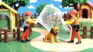 동물원에서 사자가 탈출했어요 A lion escaped from the zoo.