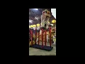 Download Lagu Sabah Lee Kiong Lion Dance at Nam Tien Kong 2017