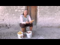 3 Types Of Tarahumara Indian Corn And What They Are Used For
