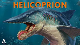 Sea Monsters Science Says Are Real