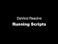 DaVinci Resolve Running Scripts