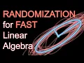 Is the Future of Linear Algebra Random