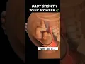 Download Lagu Your baby’s growth week by week! #pregnancy #womenshealth #mother #anatomy #pregnant