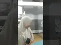 Download Lagu Bukan Ku Tak Mampu || Nur Azizah Gavra