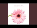 Download Lagu Pink vane