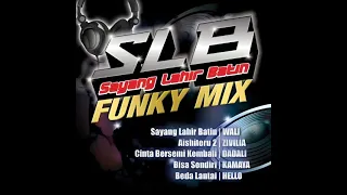 baby i hate you avo funk nikita mirzani audio 